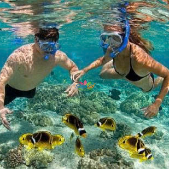 TOUR BÌNH BA - NHA TRANG - ĐÀ LẠT 4 NGÀY 4 ĐÊM SIÊU HOT 