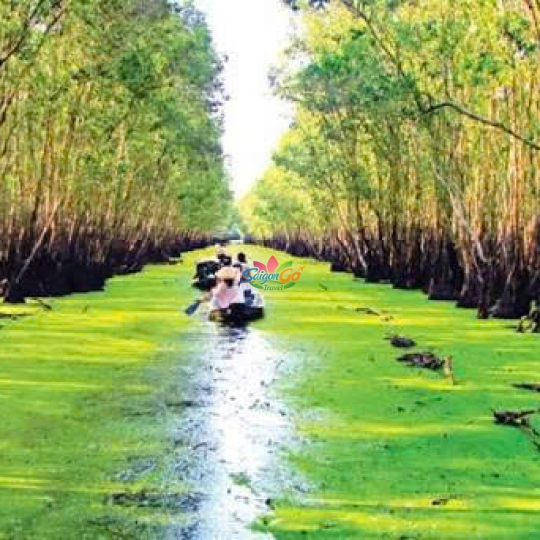 TOUR NAM DU - CHÂU ĐỐC 3 NGÀY 3 ĐÊM