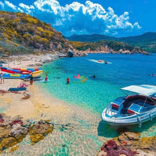 TOUR BÌNH HƯNG - ĐÀ LẠT HOT NHẤT 2026 | 4 NGÀY 4 ĐÊM 