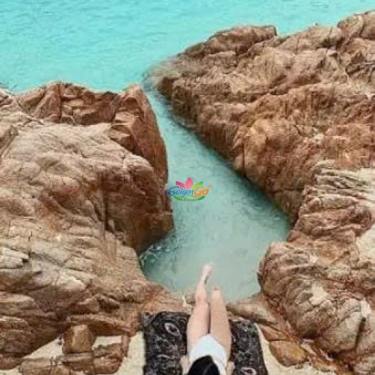 TOUR BÌNH HƯNG - ĐÀ LẠT HOT NHẤT 2026 | 4 NGÀY 4 ĐÊM 