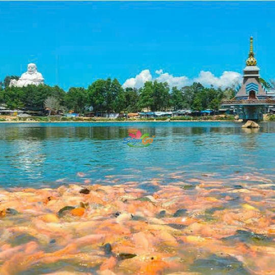 TOUR NAM DU - CHÂU ĐỐC 3 NGÀY 3 ĐÊM