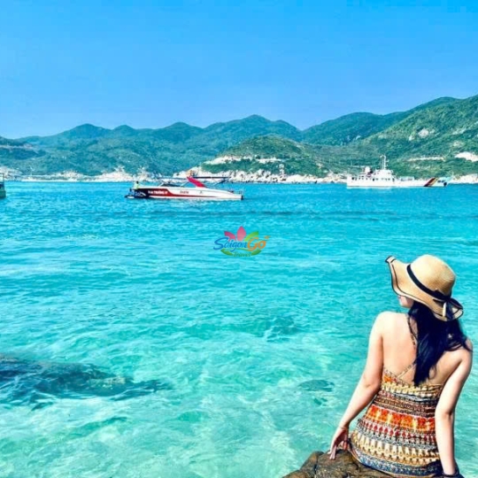 TOUR BÌNH HƯNG - ĐÀ LẠT HOT NHẤT 2026 | 4 NGÀY 4 ĐÊM 