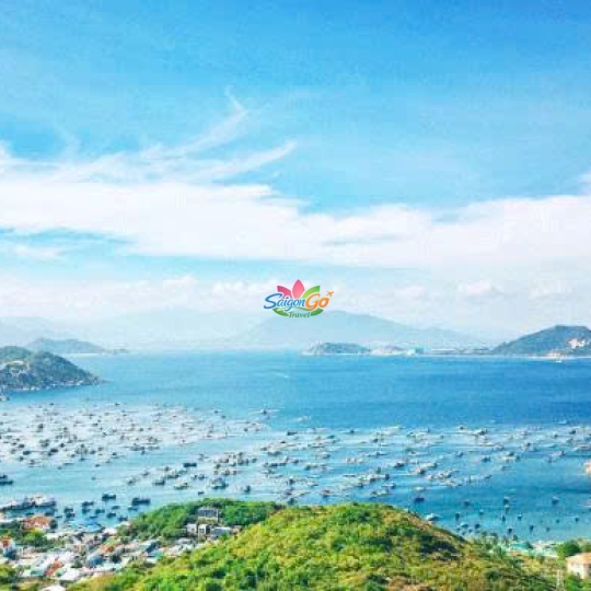 TOUR BÌNH HƯNG - ĐÀ LẠT HOT NHẤT 2026 | 4 NGÀY 4 ĐÊM 