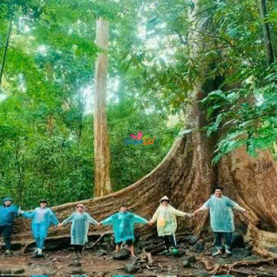 TOUR VƯỜN QUỐC GIA NAM CÁT TIÊN 2 NGÀY 1 ĐÊM