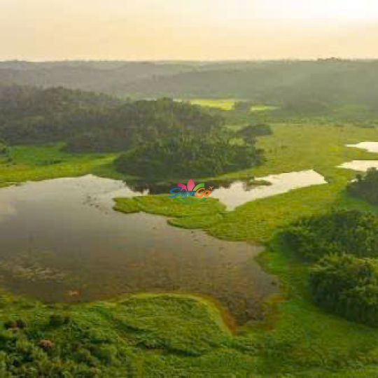 TOUR VƯỜN QUỐC GIA NAM CÁT TIÊN 2 NGÀY 1 ĐÊM