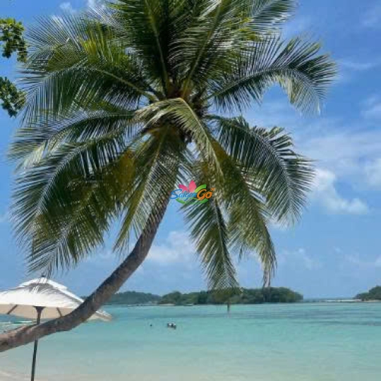 TOUR TP.HCM - ĐÀ NẴNG 3 NGÀY 2 ĐÊM