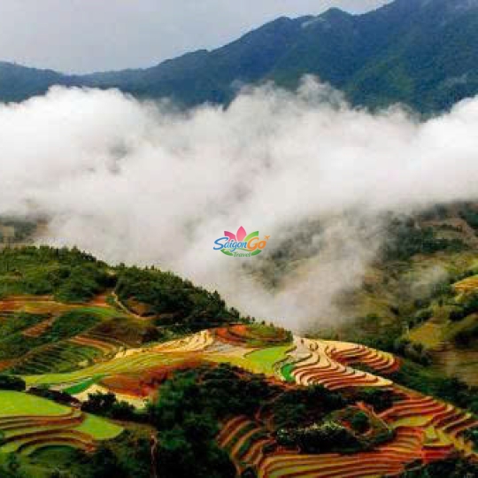 TOUR SAPA 3 NGÀY 2 ĐÊM HOT NHẤT NĂM 2026