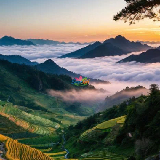 TOUR SAPA 3 NGÀY 2 ĐÊM HOT NHẤT NĂM 2026