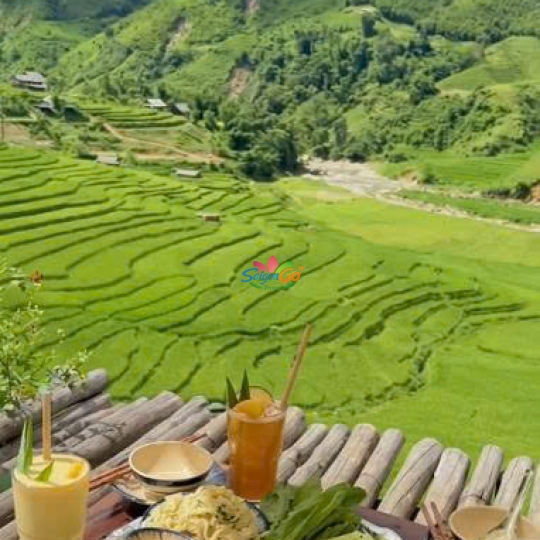 TOUR SAPA 3 NGÀY 2 ĐÊM HOT NHẤT NĂM 2026