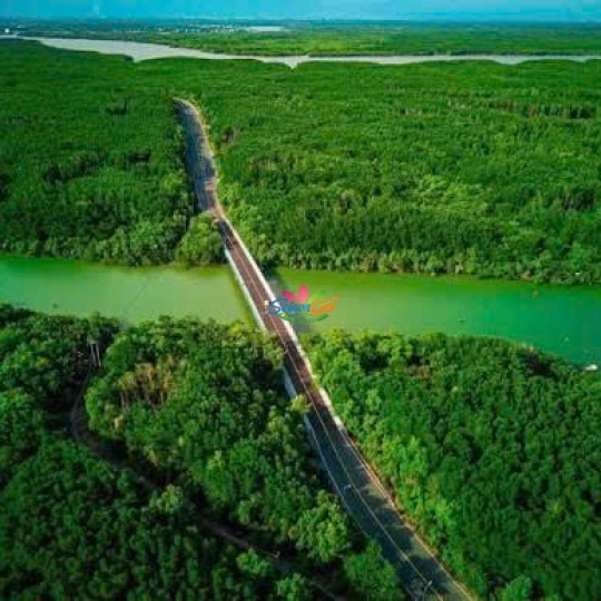 HÀNH TRÌNH RỪNG NGẬP MẶN XANH CẦN GIỜ 2 NGÀY 1 ĐÊM