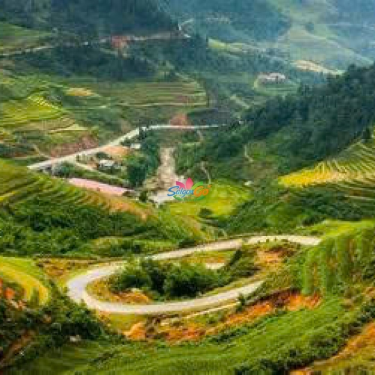 TOUR SAPA 3 NGÀY 2 ĐÊM GIÁ RẺ 2026