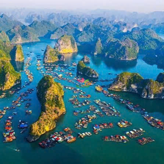 TOUR DU LỊCH ĐẢO CÁT BÀ 4 NGÀY 3 ĐÊM