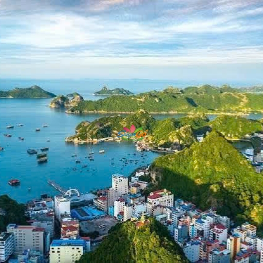 TOUR DU LỊCH ĐẢO CÁT BÀ 4 NGÀY 3 ĐÊM