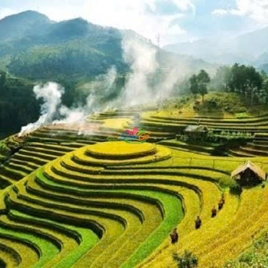 TOUR DU LỊCH PÙ LUÔNG 2 NGÀY 1 ĐÊM