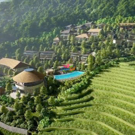 TOUR DU LỊCH PÙ LUÔNG 2 NGÀY 1 ĐÊM