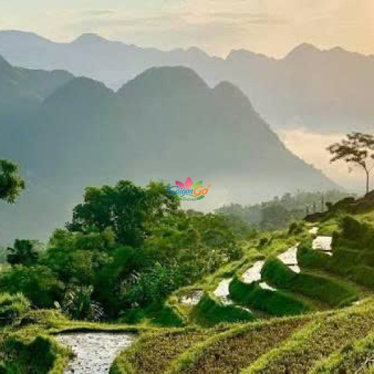 TOUR DU LỊCH PÙ LUÔNG 2 NGÀY 1 ĐÊM