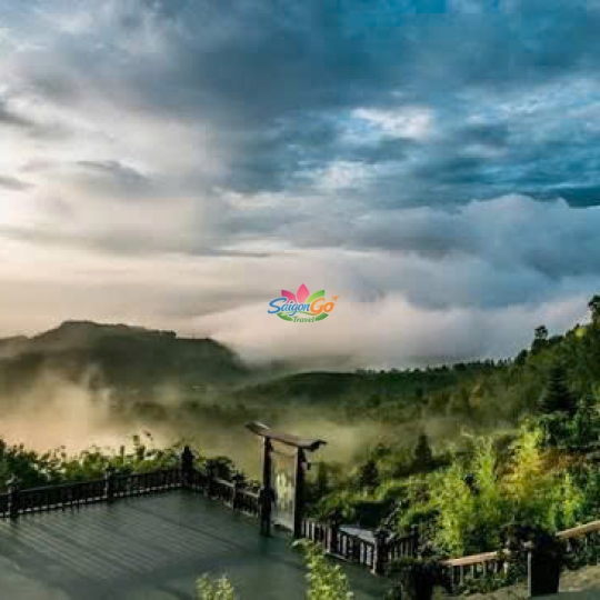 TOUR DU LỊCH BẢO LỘC 3 NGÀY 2 ĐÊM