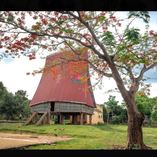 Buôn Ma Thuột – Buôn Đôn - Pleiku – Kon Tum - Măng Đen 5 ngày 4 đêm