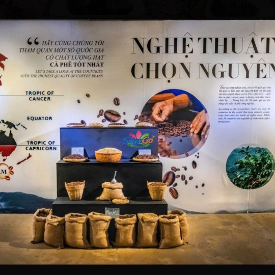 Buôn Ma Thuột – Buôn Đôn - Pleiku – Kon Tum - Măng Đen 5 ngày 4 đêm