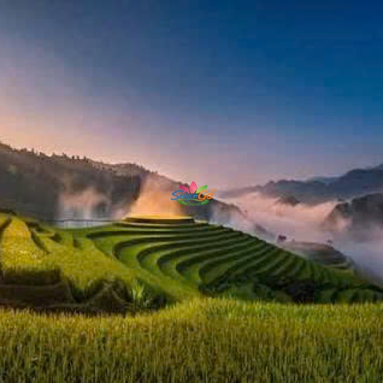 Tây Bắc Mùa Lúa Chín - Nghĩa Lộ - Mù Cang Chải - Sapa - Fansipan - Lai Châu - Điện Biên - Mộc Châu