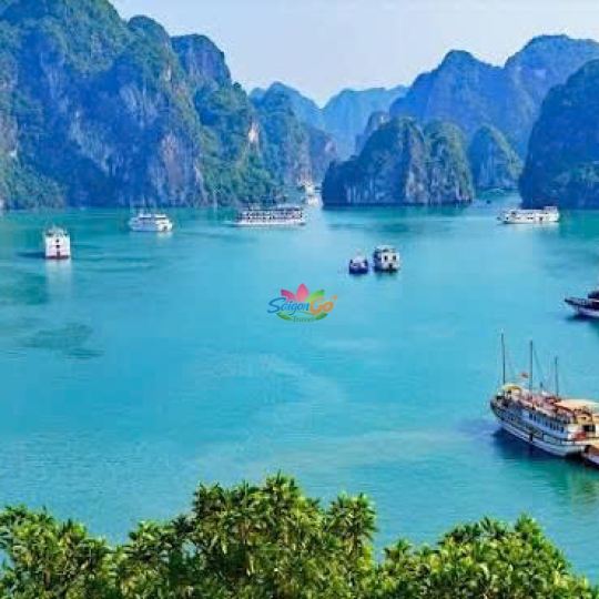 Hải Phòng - Hạ Long - Ninh Bình - Thung Nham - Tam Đảo