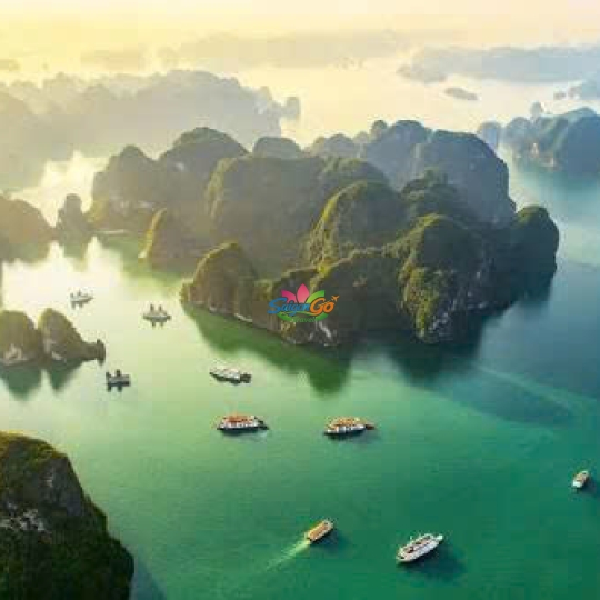 Hải Phòng - Hạ Long - Ninh Bình - Thung Nham - Tam Đảo