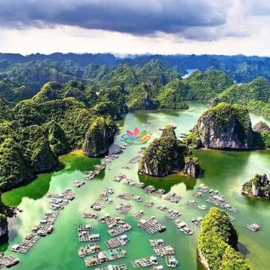 Hải Phòng - Hạ Long - Ninh Bình - Thung Nham - Tam Đảo