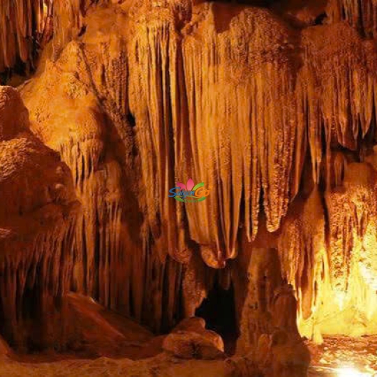 Hải Phòng - Hạ Long - Ninh Bình - Thung Nham - Tam Đảo