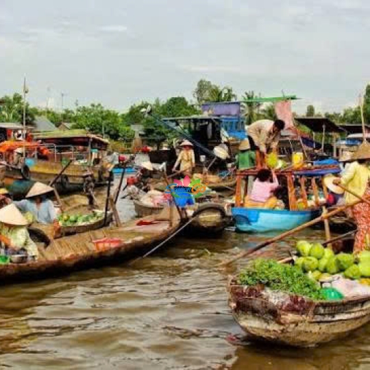 Tour 1 ngày Cái Bè - Cù Lao Tân Phong - Vĩnh Long