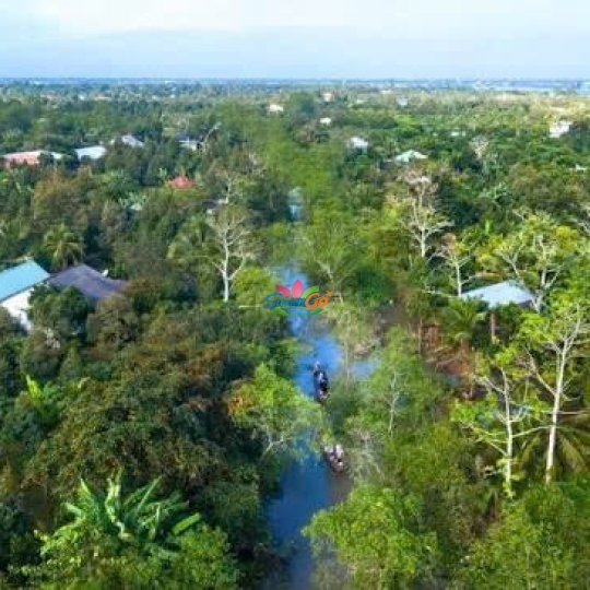 Tour 1 ngày Cái Bè - Cù Lao Tân Phong - Vĩnh Long