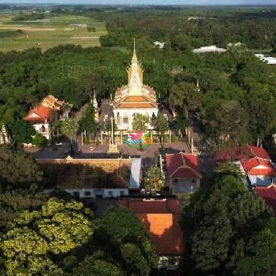 Tour 1 ngày Cái Bè - Cù Lao Tân Phong - Vĩnh Long