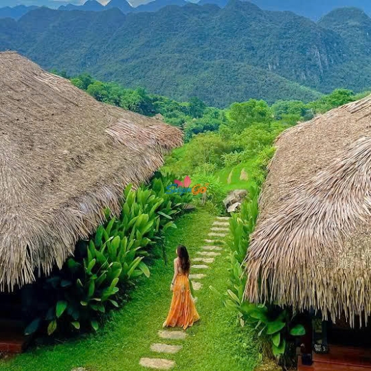 TOUR DU LỊCH Pù Luông - Hòa Bình - Mù Cang Chải - La Pán Tẩn - Tà Xùa