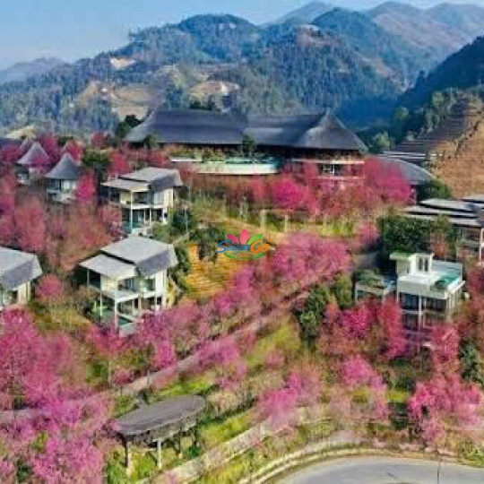 TOUR DU LỊCH Pù Luông - Hòa Bình - Mù Cang Chải - La Pán Tẩn - Tà Xùa
