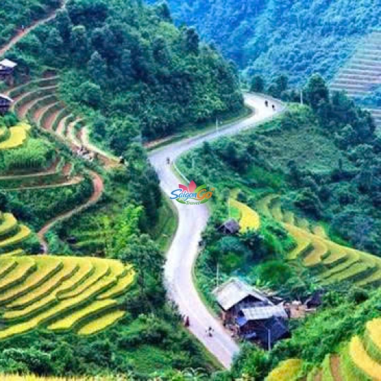 TOUR DU LỊCH Pù Luông - Hòa Bình - Mù Cang Chải - La Pán Tẩn - Tà Xùa