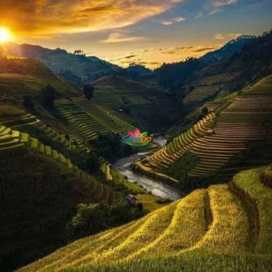 TOUR DU LỊCH Pù Luông - Hòa Bình - Mù Cang Chải - La Pán Tẩn - Tà Xùa