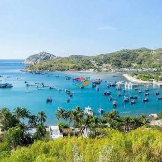 Tour Ninh Chữ – Vịnh Vĩnh Hy 3 ngày 2 đêm