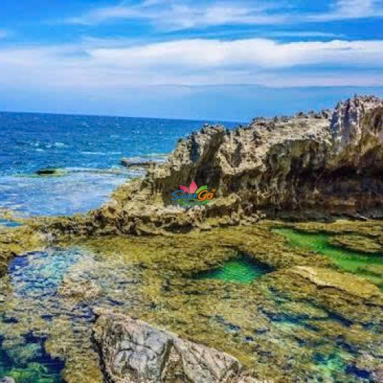 Tour Ninh Chữ – Vịnh Vĩnh Hy 3 ngày 2 đêm