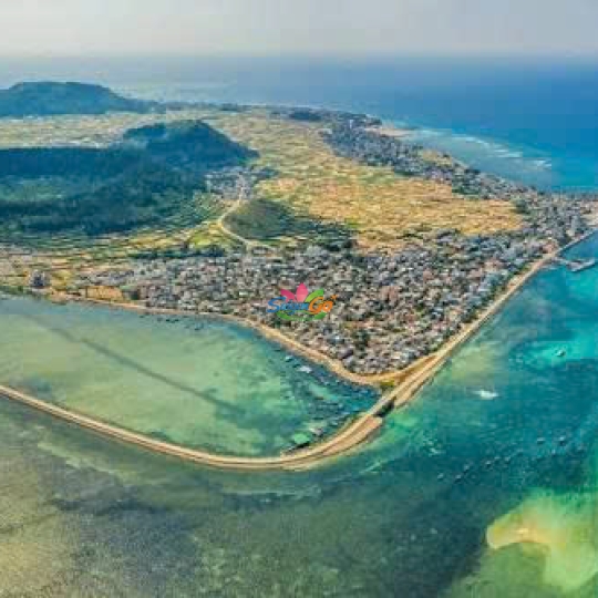 Tour du lịch Đảo Lý Sơn – Chứng tích Sơn Mỹ 4 ngày 3 đêm