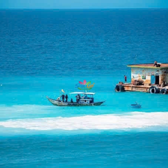 Tour du lịch Đảo Lý Sơn – Chứng tích Sơn Mỹ 4 ngày 3 đêm