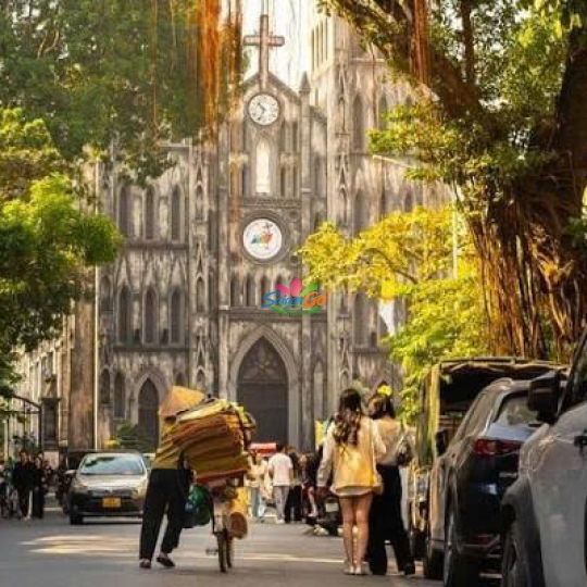 Tour Miền Bắc 1 Ngày Hà Nội - Đảo Cát Bà - Vịnh Lan Hạ - Động Trung Hang