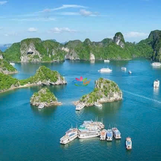 Tour Miền Bắc 1 Ngày Hà Nội - Đảo Cát Bà - Vịnh Lan Hạ - Động Trung Hang