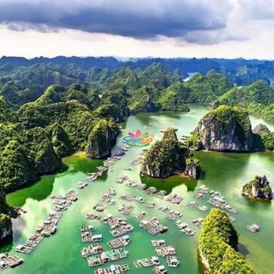 Tour Miền Bắc 1 Ngày Hà Nội - Đảo Cát Bà - Vịnh Lan Hạ - Động Trung Hang