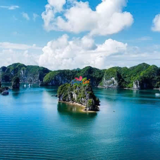 Tour Miền Bắc 1 Ngày Hà Nội - Đảo Cát Bà - Vịnh Lan Hạ - Động Trung Hang