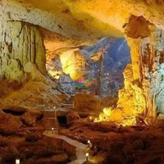 Tour Miền Bắc 1 Ngày Hà Nội - Đảo Cát Bà - Vịnh Lan Hạ - Động Trung Hang
