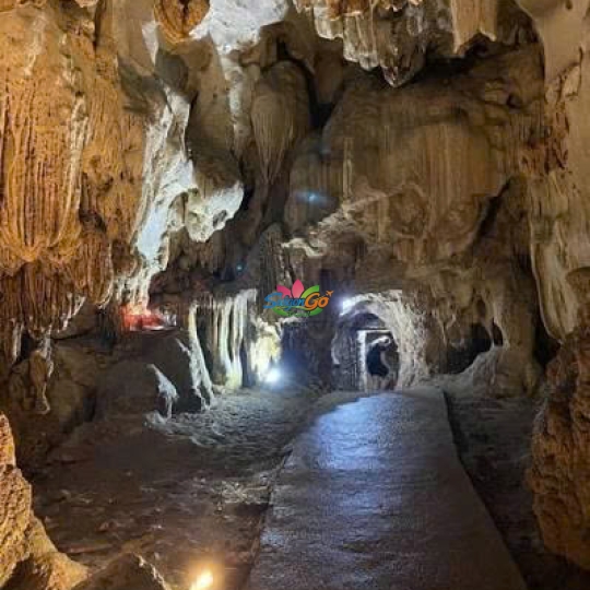 Tour Miền Bắc 1 Ngày Hà Nội - Đảo Cát Bà - Vịnh Lan Hạ - Động Trung Hang
