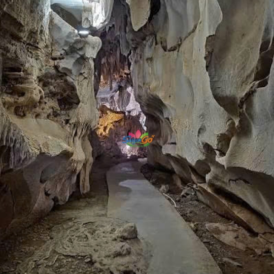 Tour Miền Bắc 1 Ngày Hà Nội - Đảo Cát Bà - Vịnh Lan Hạ - Động Trung Hang