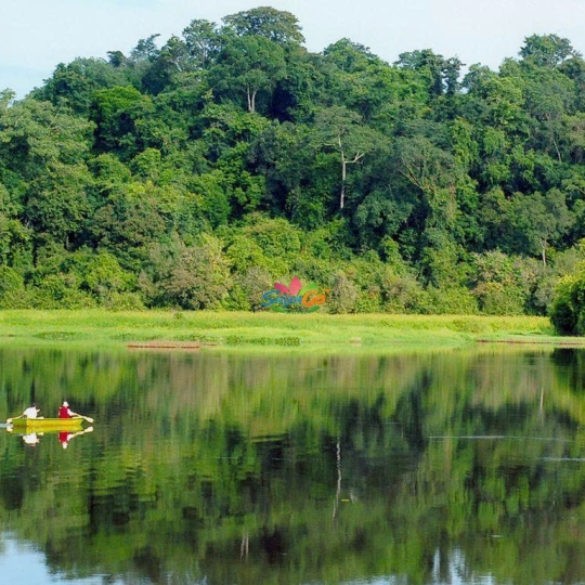 TOUR VƯỜN QUỐC GIA CÁT TIÊN 2N1Đ