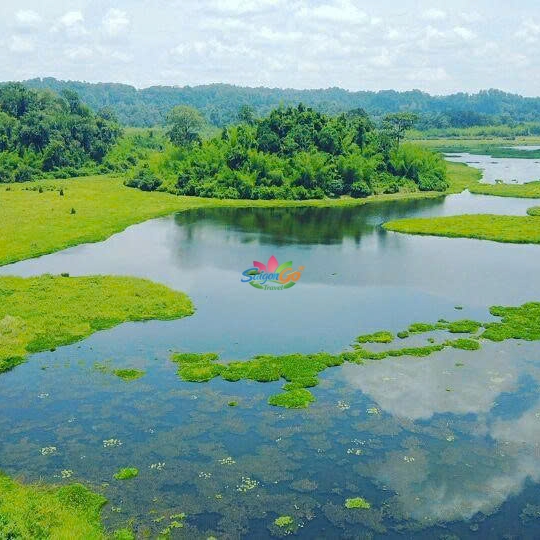 TOUR VƯỜN QUỐC GIA CÁT TIÊN 2N1Đ