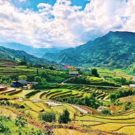 TOUR SAPA 3 NGÀY 2 ĐÊM CHẠM MÂY ĐÓN GIÓ