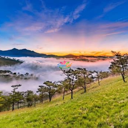 TOUR ĐOÀN ĐÀ LẠT 3 NGÀY 3 ĐÊM